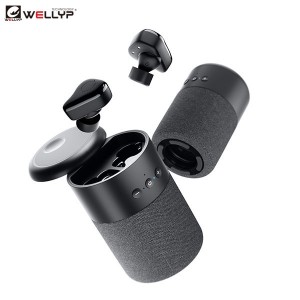 https://www.wellypaudio.com/tws-earbuds-wireless-with-bluetooth-speaker-function-for-outdoor-and-sports-wellyp-product/