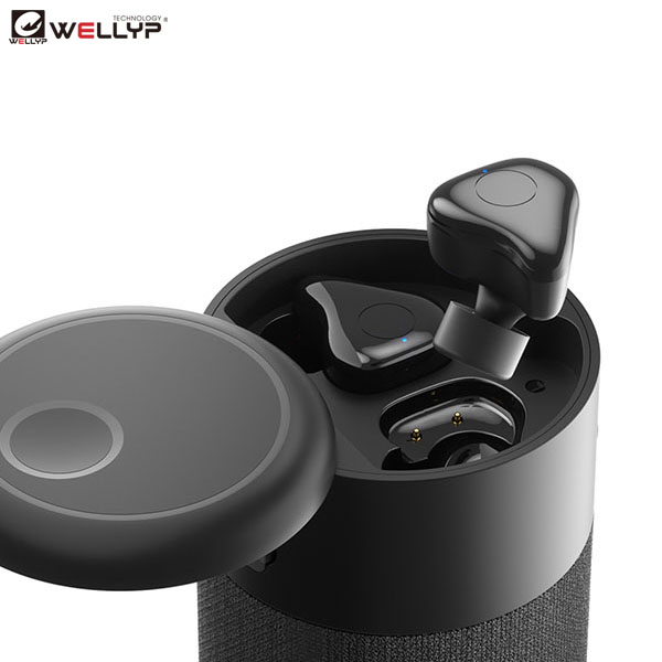 https://www.wellypaudio.com/tws-wireless-earbuds-with-bluetooth-speaker-function-for-outdoor-and-sports-wellup-product/