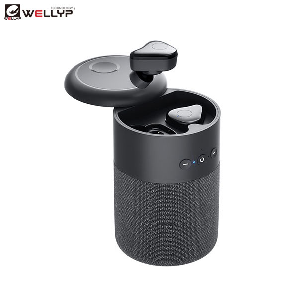 https://www.wellypaudio.com/tws-wireless-earbuds-with-bluetooth-speaker-function-for-outdoor-and-sports-wellyp-product/