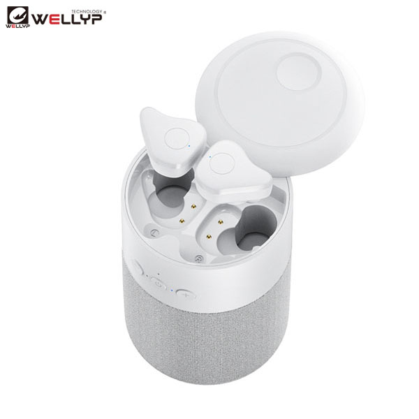 https://b292.goodao.net/tws-wireless-earbuds-with-bluetooth-speaker-function-for-outdoor-and-sports-wellyp-product/